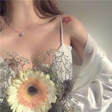 葫芦娃暴击小妖精游戏下载
